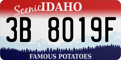 ID license plate 3B8019F