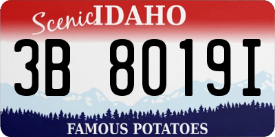 ID license plate 3B8019I