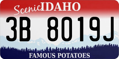 ID license plate 3B8019J