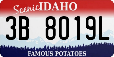 ID license plate 3B8019L