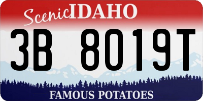 ID license plate 3B8019T