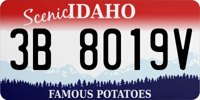 ID license plate 3B8019V