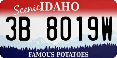 ID license plate 3B8019W