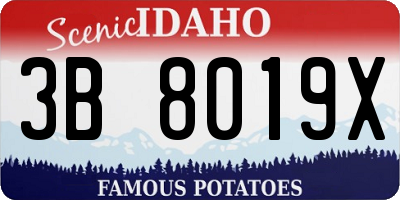 ID license plate 3B8019X