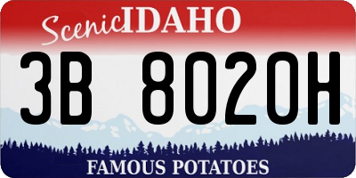 ID license plate 3B8020H
