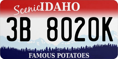 ID license plate 3B8020K