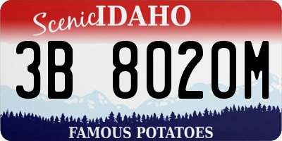 ID license plate 3B8020M