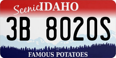ID license plate 3B8020S