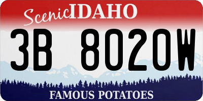 ID license plate 3B8020W