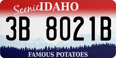 ID license plate 3B8021B