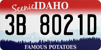 ID license plate 3B8021D