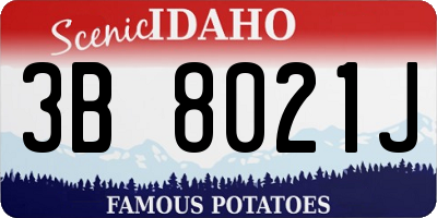 ID license plate 3B8021J