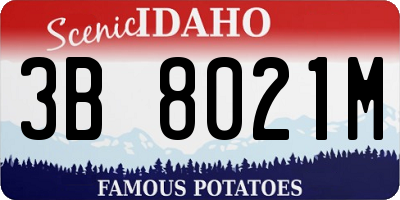 ID license plate 3B8021M