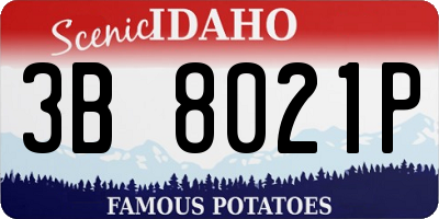 ID license plate 3B8021P