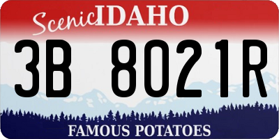 ID license plate 3B8021R