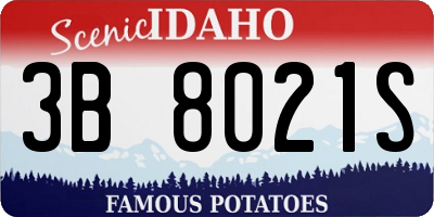 ID license plate 3B8021S