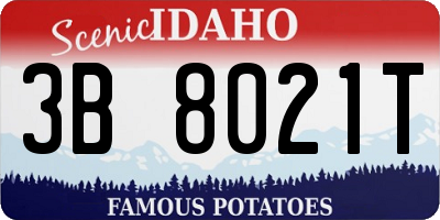 ID license plate 3B8021T