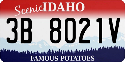 ID license plate 3B8021V