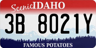 ID license plate 3B8021Y