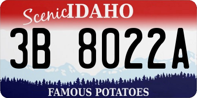 ID license plate 3B8022A