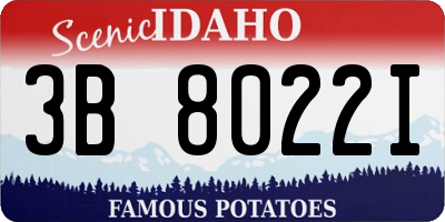 ID license plate 3B8022I