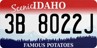 ID license plate 3B8022J
