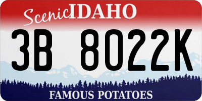 ID license plate 3B8022K