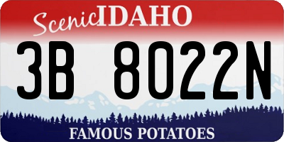 ID license plate 3B8022N