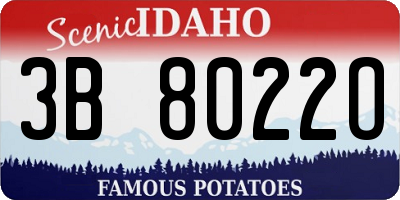 ID license plate 3B8022O