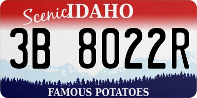 ID license plate 3B8022R