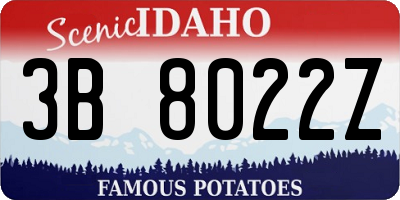 ID license plate 3B8022Z