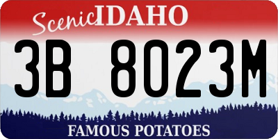 ID license plate 3B8023M
