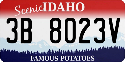 ID license plate 3B8023V