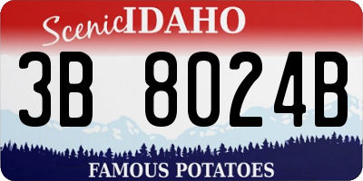 ID license plate 3B8024B