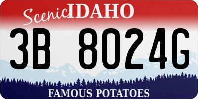 ID license plate 3B8024G