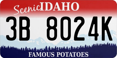 ID license plate 3B8024K