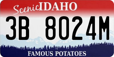 ID license plate 3B8024M
