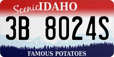 ID license plate 3B8024S