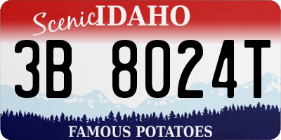 ID license plate 3B8024T