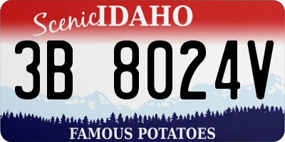 ID license plate 3B8024V