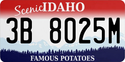 ID license plate 3B8025M