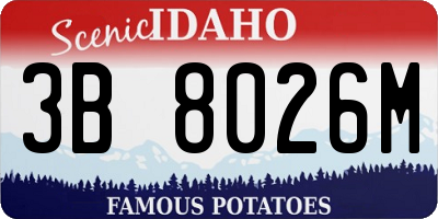 ID license plate 3B8026M