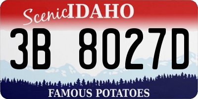 ID license plate 3B8027D