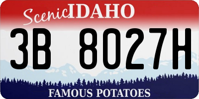 ID license plate 3B8027H