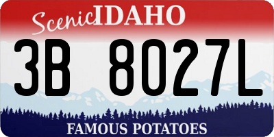 ID license plate 3B8027L