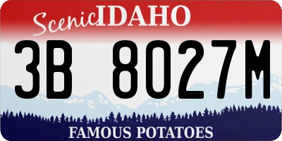 ID license plate 3B8027M