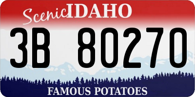 ID license plate 3B8027O
