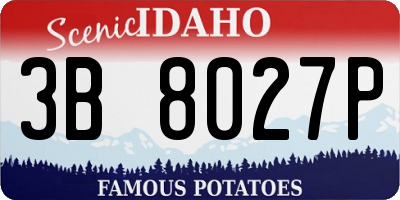 ID license plate 3B8027P