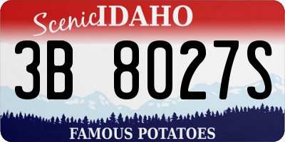 ID license plate 3B8027S