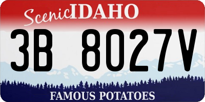 ID license plate 3B8027V